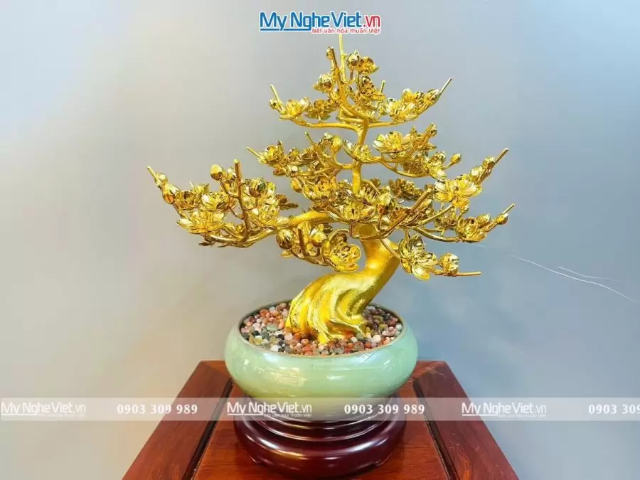 bonsai chậu mai dát vàng